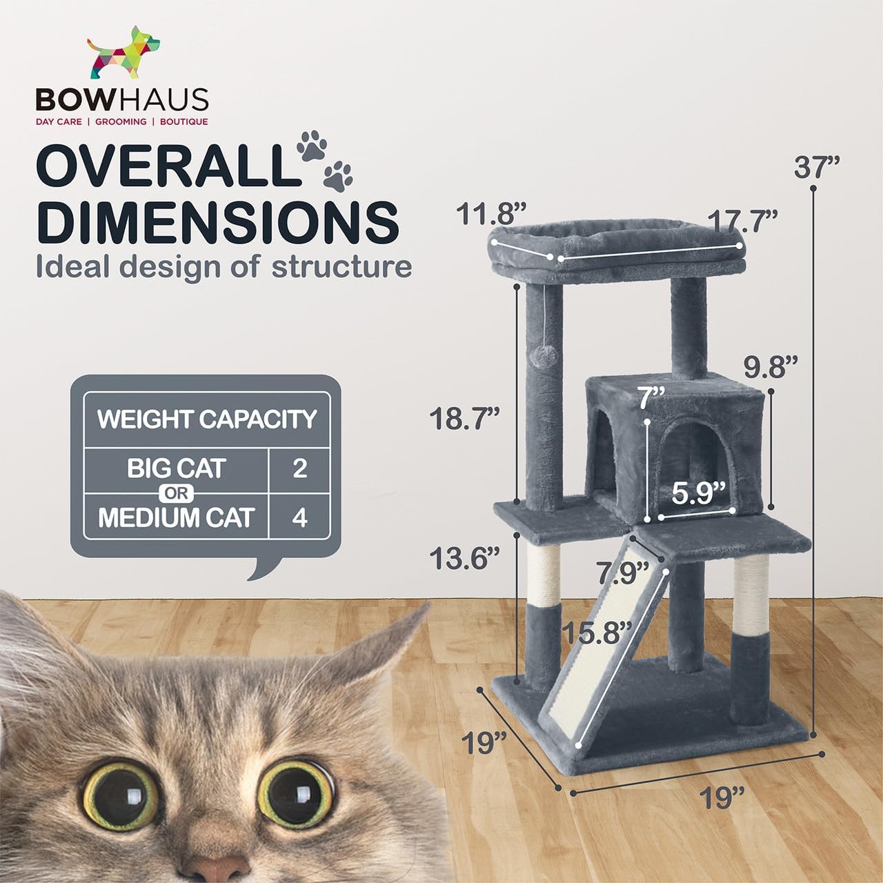 CAPHAUS 37 Inch Cat Tree for Indoor Large Cats or Kittens, Multi-Level Cat Activity Tree with Scratching Posts