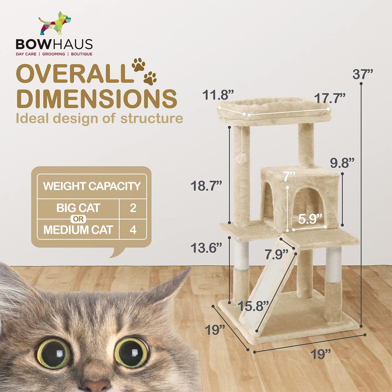 CAPHAUS 37 Inch Cat Tree for Indoor Large Cats or Kittens, Multi-Level Cat Activity Tree with Scratching Posts